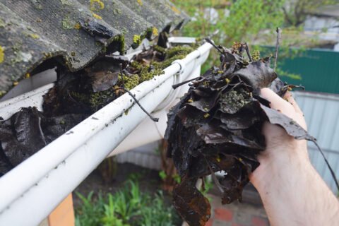 Gutter Cleaning